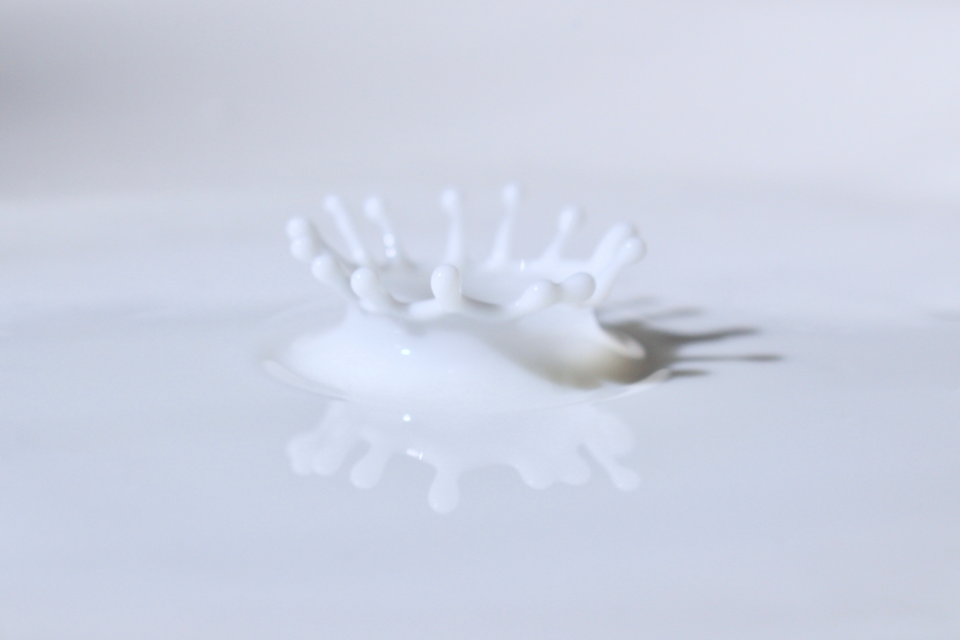 MILKCROWN PR SERVICE | 中小企業やベンチャー企業向けにプレス 